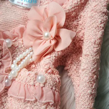 Vaikų drabužiai nustatyti mergaitės Dėvėti Mados Gražaus Pavasario Rudens mergaičių twinset suknelė + kailio striukė nėrinių suknelė kūdikių clothiong 2-7