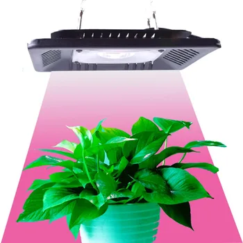 Viso Spektro LED Grow Light Vandeniui IP67 50W 100W 200W 300W COB Augimo Potvynis Šviesa Augalų Patalpų Hydroponic Šiltnamio efektą sukeliančių